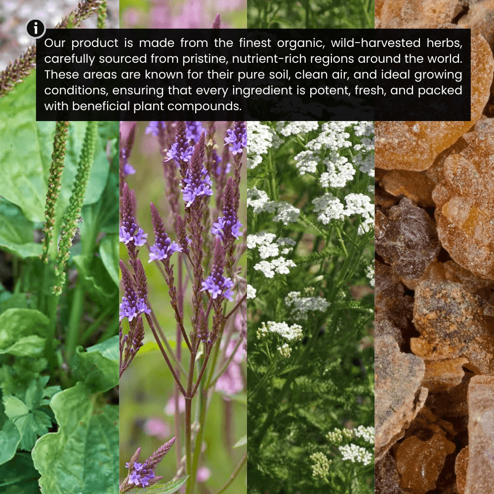 Lymphatic Support Drops